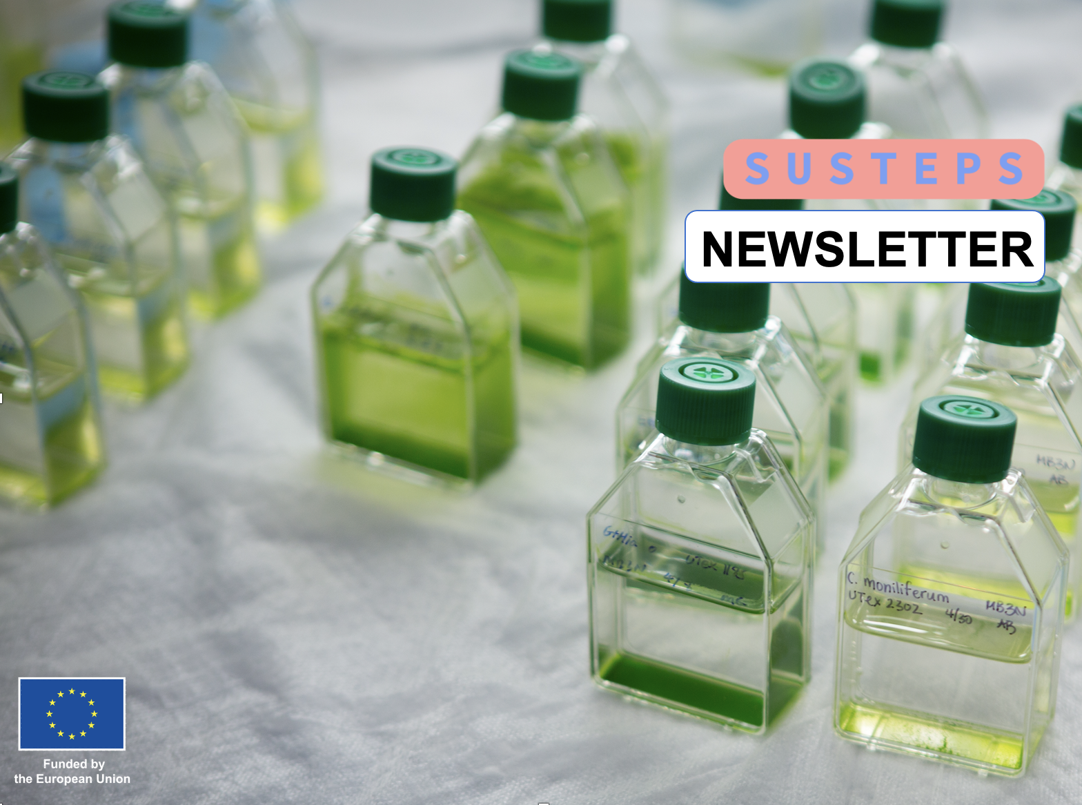 Read more about the article Newsletter N°3